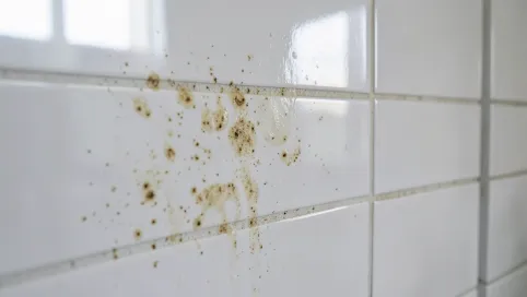 czym myć płytki na ścianie